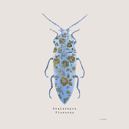 Framed Adorning Coleoptera VIII Sq Blue Print