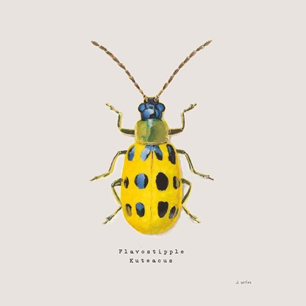 Framed Adorning Coleoptera VII Sq Golden Print