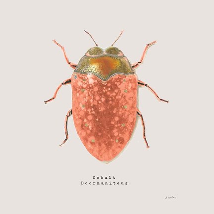 Framed Adorning Coleoptera V Sq Camelia Print