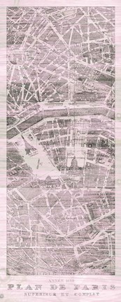 Framed Plan de Paris Panel on Wood v2 Blush Print