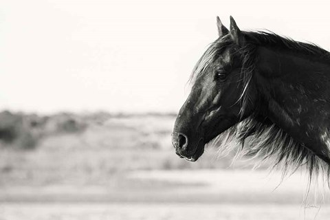 Framed Pretty Girl Print