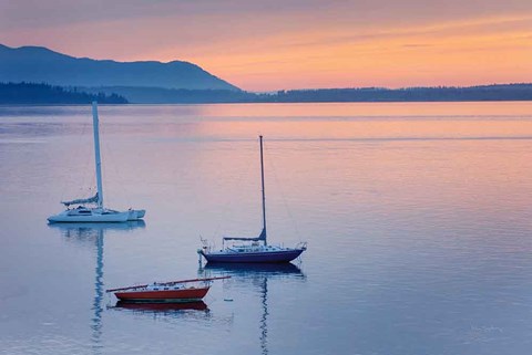 Framed Bellingham Bay Print