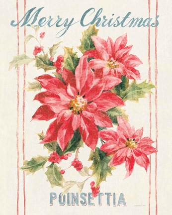 Framed Floursack Holiday Bright III Print