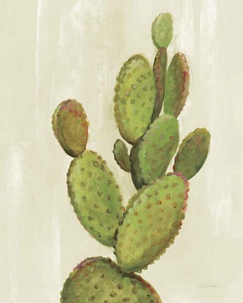 Framed Front Yard Cactus I Print