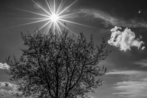 Framed Painted on Sky Print