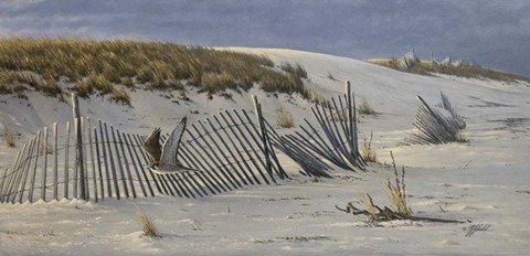 Framed Passage - Peregrine Falcon Print