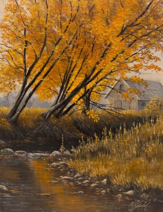 Framed Undercut Bank Print