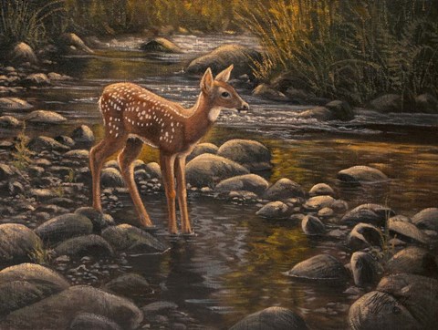 Framed Water's Edge - Fawn Print
