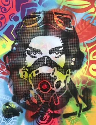 Framed Flygirl Print