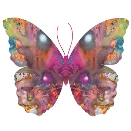 Framed Abstract I Butterfly Print