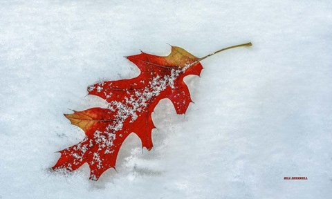 Framed Moment Together Print