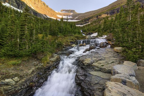 Framed Falling For Beauty Print