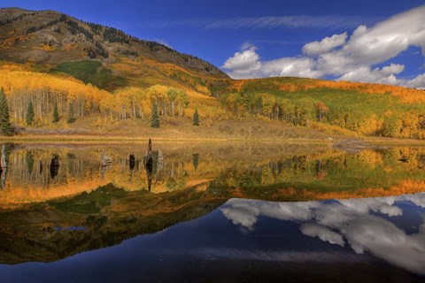 Framed Reflecting On Autumn Print