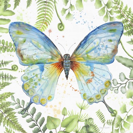 Framed Botanical Butterfly Beauty 1 Print
