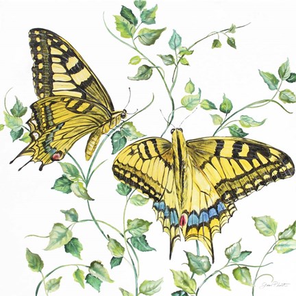 Framed Summertime Butterflies A Print