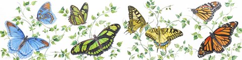 Framed Summertime Butterflies E Print