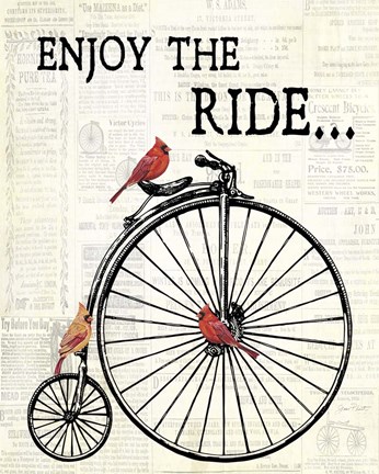 Framed Bicycle With Cardinals A Print
