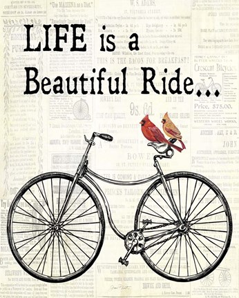 Framed Bicycle With Cardinals B Print