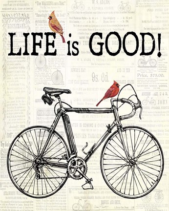 Framed Bicycle With Cardinals C Print
