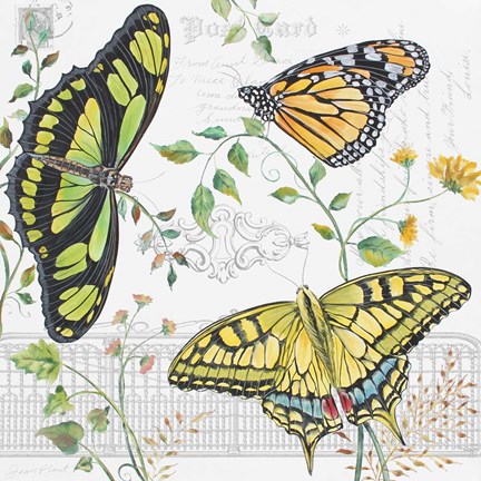 Framed Butterfly Garden Print