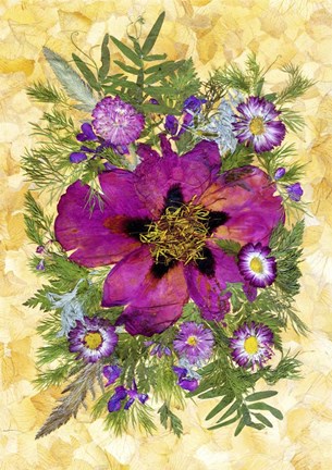 Framed Dried Peony And Daisies Print
