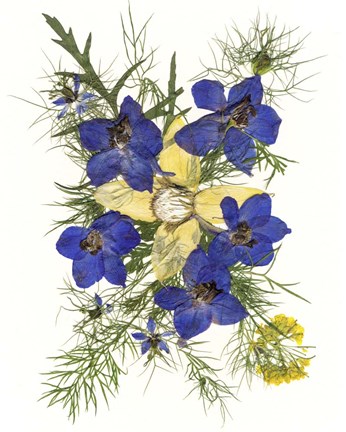 Framed Flower Fantasy 1 Print