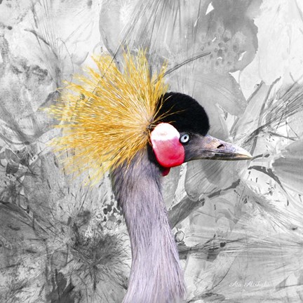 Framed Crest Bird Print