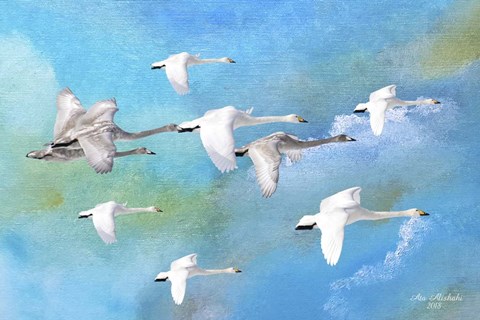 Framed Fly Far Away 2 Print