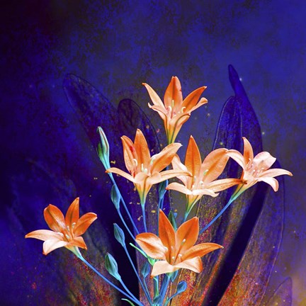 Framed Purple And Orange Print