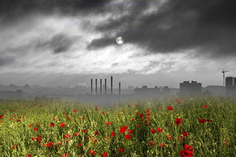 Framed Destruction Print