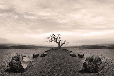 Framed Dry Land 2 Print