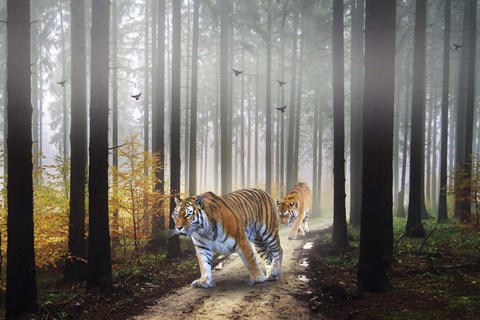 Framed Forest King Print