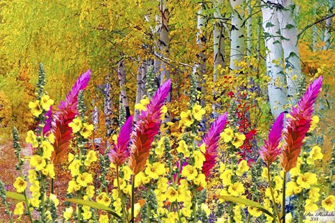 Framed My Garden 4 Print