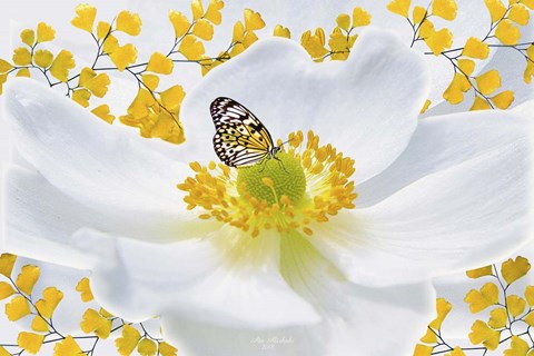 Framed Nature S1 Print