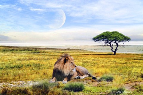 Framed Nature S3 Print