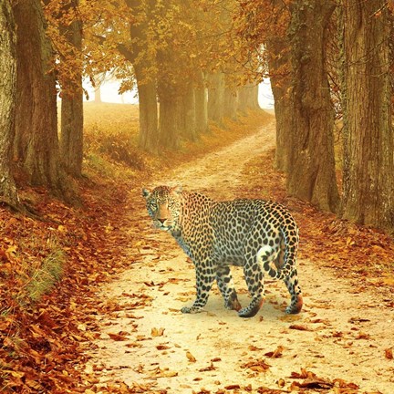 Framed Nature S10 Print