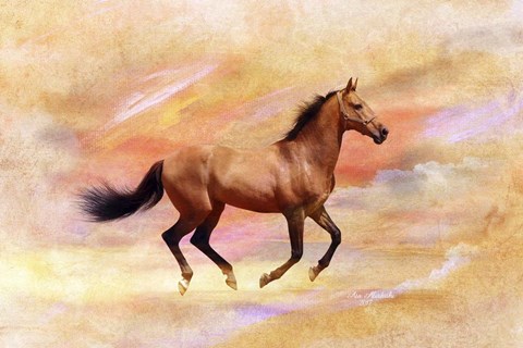 Framed Nature S20A Print