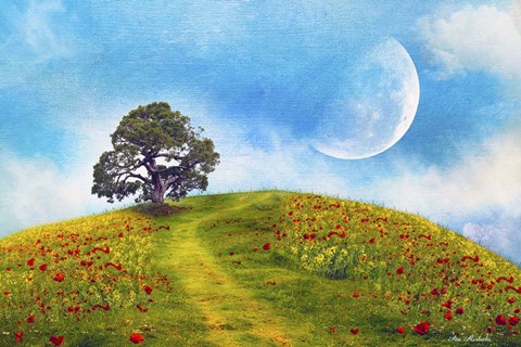 Framed Nature S33 Print