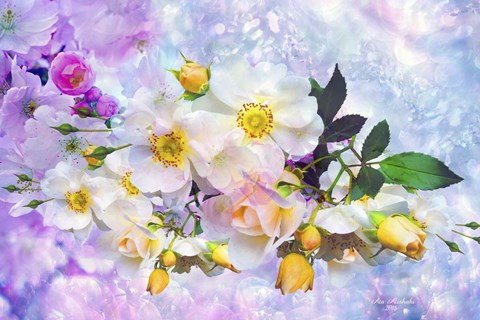 Framed Nature S114 Print