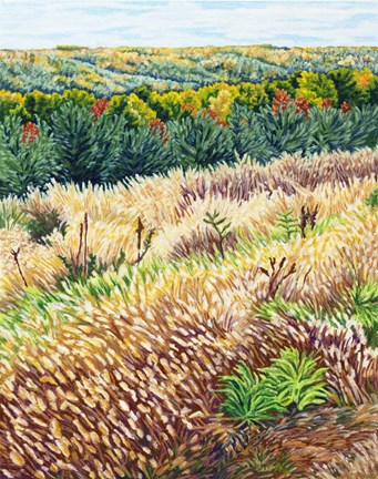 Framed NY Autumn Grasses Littletree Print