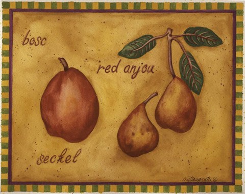 Framed Pears Bosc Red Anjou Seckel Print