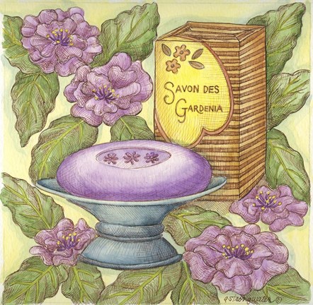Framed Savons Des Gardenia Print