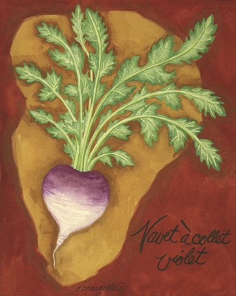 Framed Veggies On Red L Navet Print