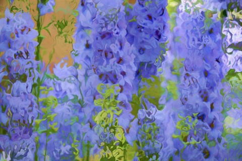 Framed Fluid Flowers I Print