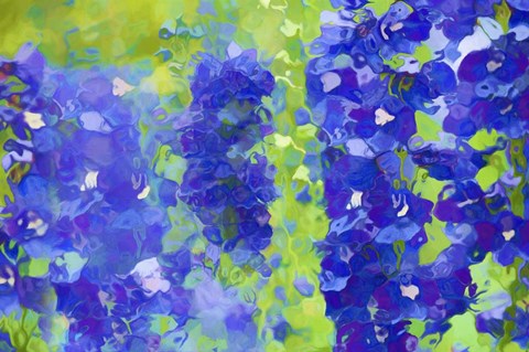 Framed Fluid Flowers V Print