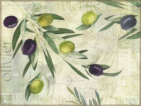 Framed Olives de Nice Print