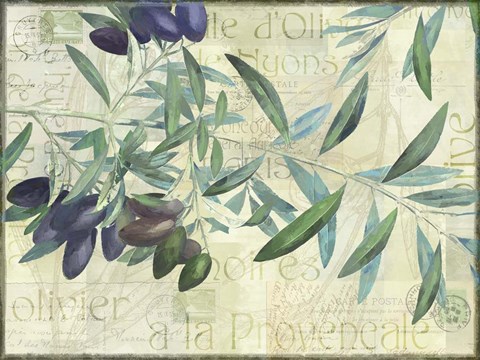 Framed Olives de Nyons Print