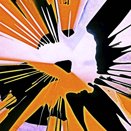 Framed Bumble Bee Splash Print