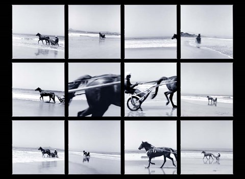 Framed Trotter at the Beach Print