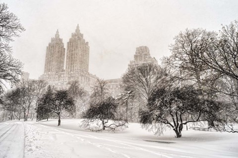 Framed Blizzard In Central Park Print